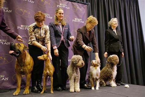 cast of show dogs|show dogs show guide.